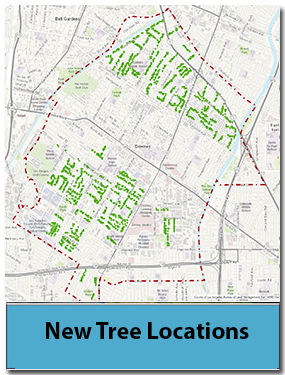 New tree Locations