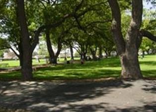 The cemetery on a sunny day