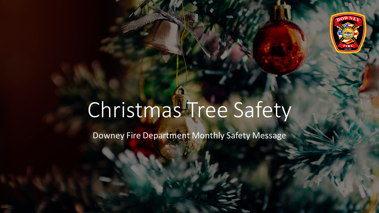 Christmas Tree Safety PubED Public Education Community Outreach 