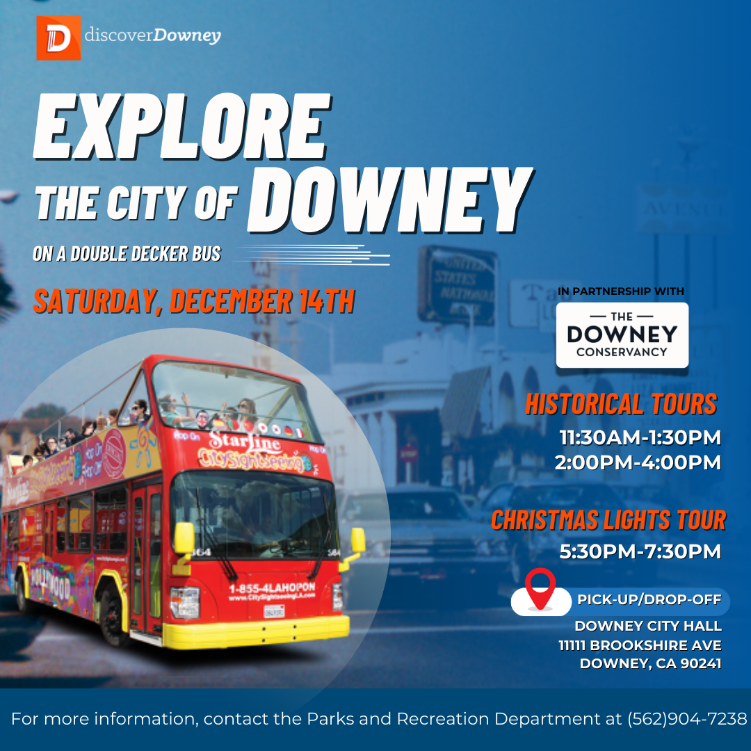 Double Decker Bus Tours 