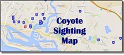 Coyote Sighting Map